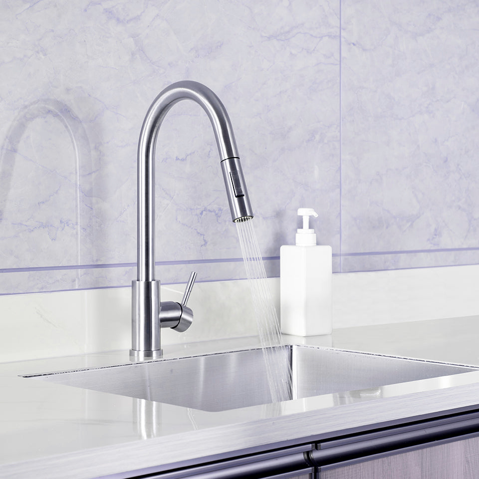 Classic Pull-out Kitchen Faucet