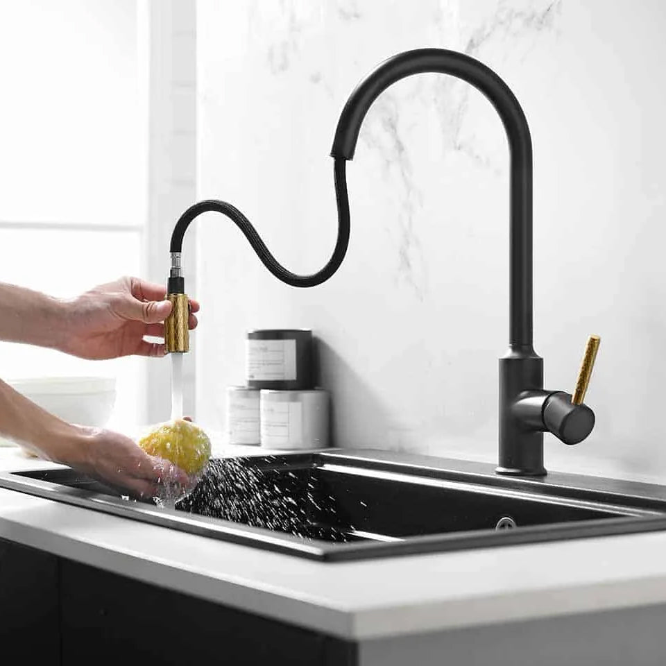 Black + Gold Pull-out Kitchen Faucet - GLKB-34