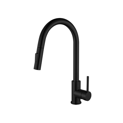 classic pull out kitchen faucet-brass