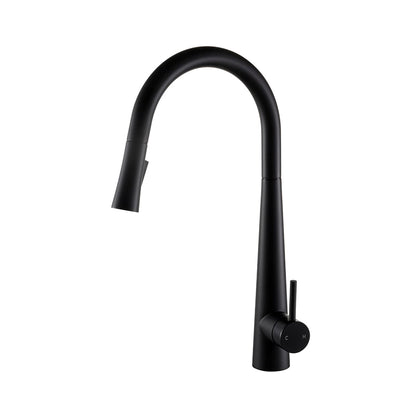 Elegant Kitchen Faucet - 16" Magnetic sprayer