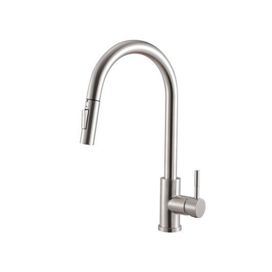 Classic Pull-out Kitchen Faucet