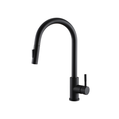 Classic Pull-out Kitchen Faucet