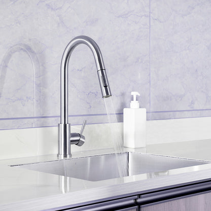 Classic Pull-out Kitchen Faucet