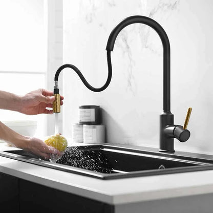 Black + Gold Pull-out Kitchen Faucet - GLKB-34