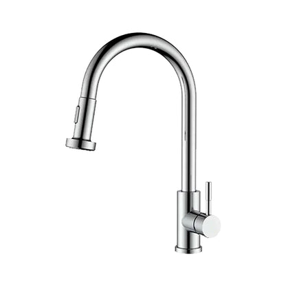 Classic Pull-out Kitchen Faucet - Wide Spout
