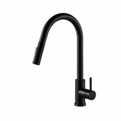 Straight Curve Pull-Out Kitchen Faucet