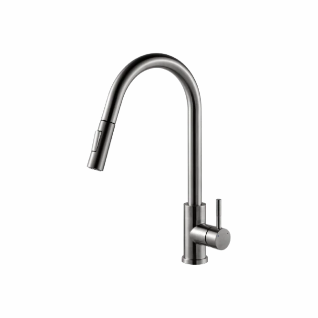 Straight Curve Pull-Out Kitchen Faucet